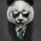 EROTIK PANDA